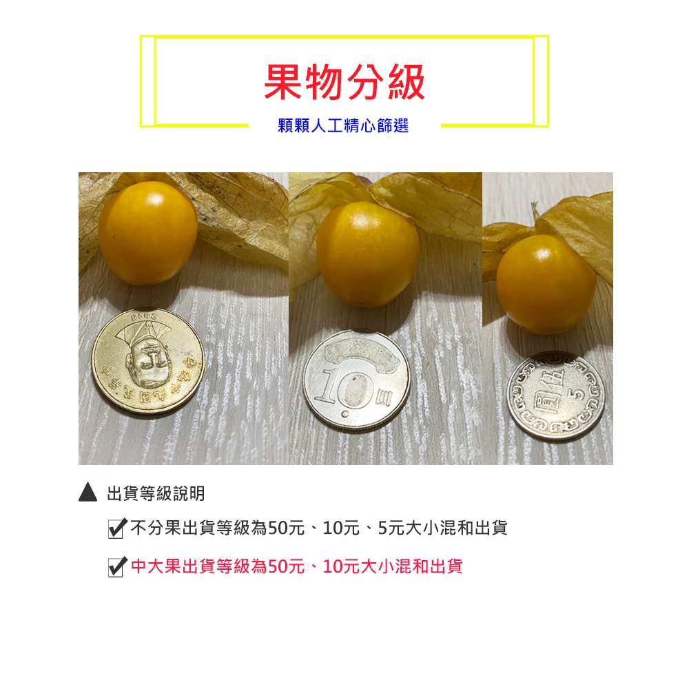 【荖家小農工作坊】預購 日本品種鮮採黃金莓2斤x1箱(不分果_散裝_彰化永靖產地直送_燈籠果_姑娘果)下訂後9個工作天內出貨