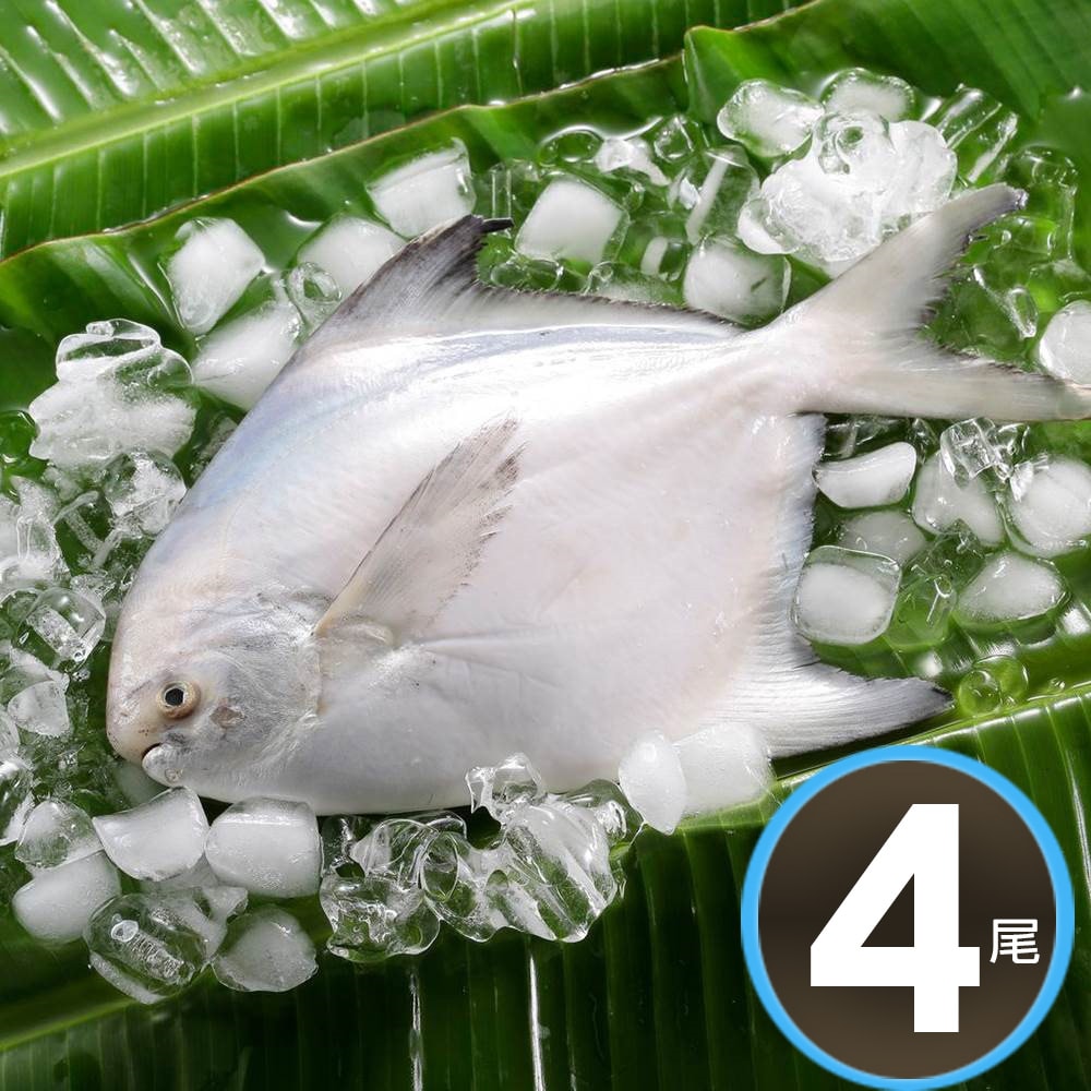 【華得水產】鮮嫩野生白鯧魚8尾組(400-480G/尾)