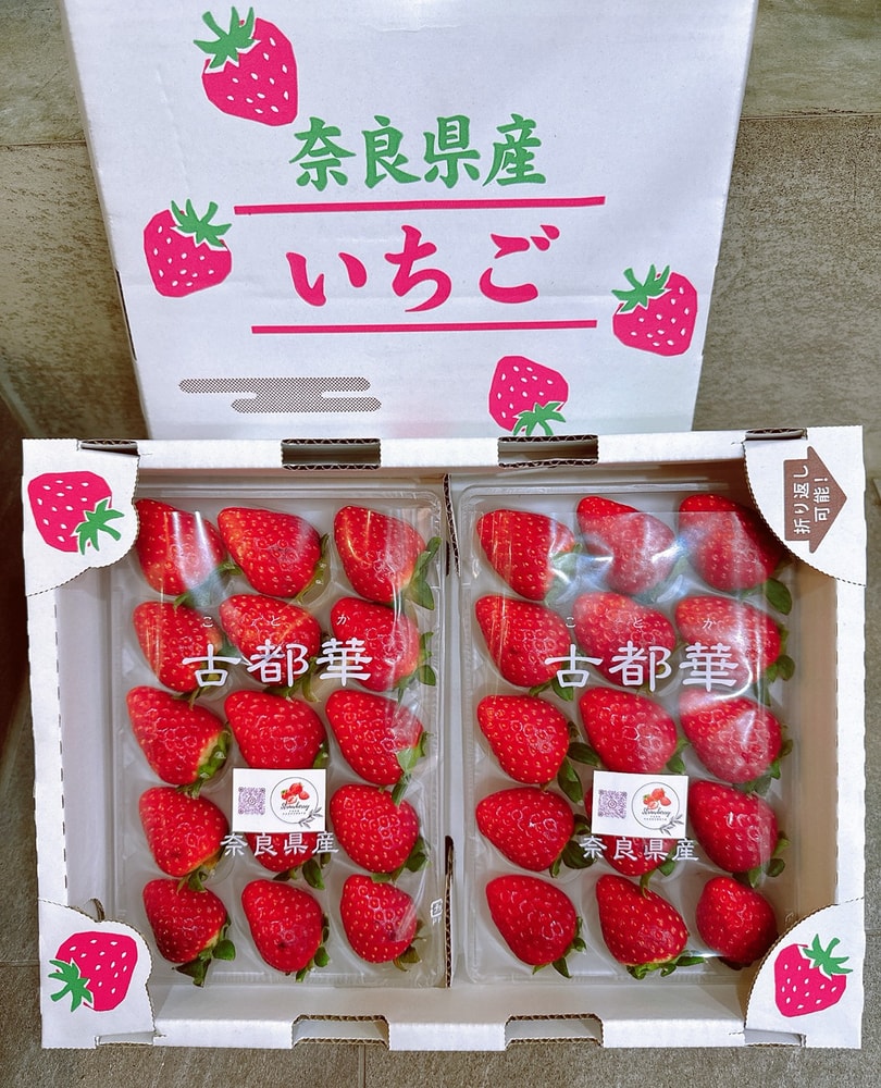 【帕查嬤嬤】🇯🇵日本 奈良之光 限量款《夢幻品種》橋本農場 古都華 草莓🍓｜日本草莓禮盒