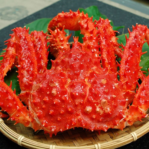 【築地一番鮮】海鮮大物｜波士頓龍蝦+生白蝦+熟帝王蟹