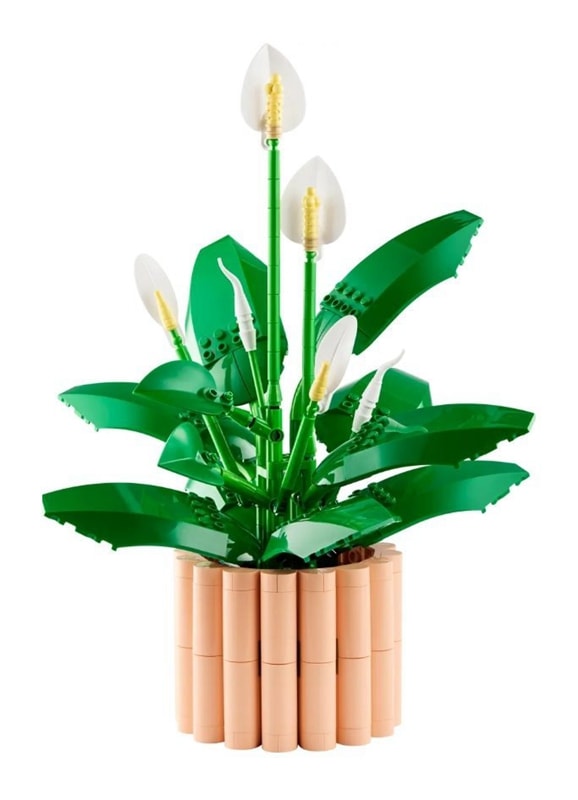 【LEGO 樂高】磚星球〡 11504 花藝系列 白鶴芋 Peace Lily
