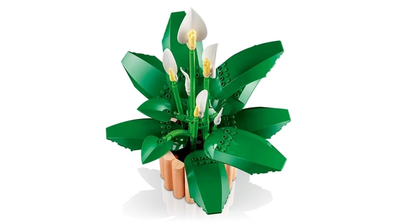 【LEGO 樂高】磚星球〡 11504 花藝系列 白鶴芋 Peace Lily