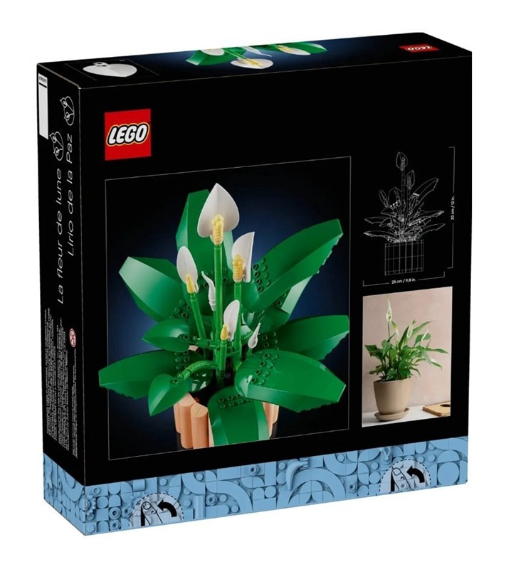 【LEGO 樂高】磚星球〡 11504 花藝系列 白鶴芋 Peace Lily