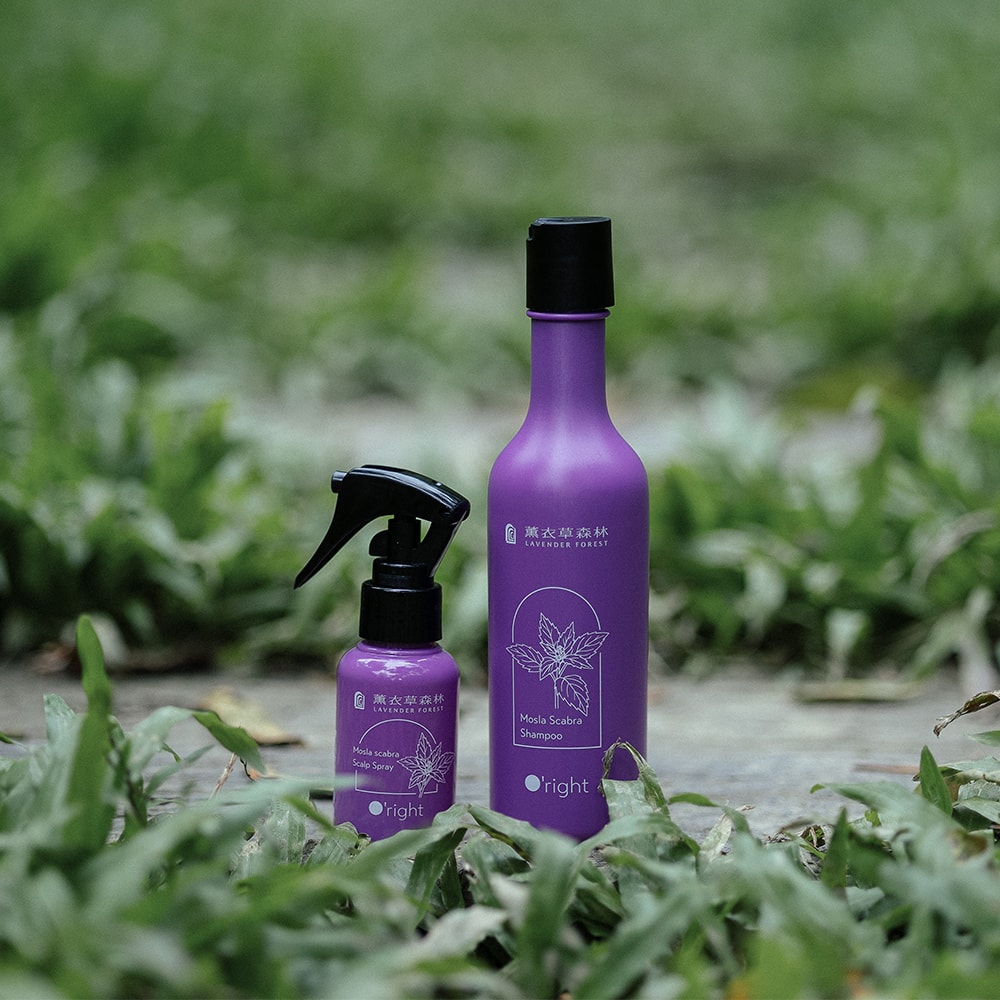 【薰衣草森林Select】犬香薷洗髮精250mL + 頭皮噴霧50mL | 頭皮護理 洗髮精 洗髮乳