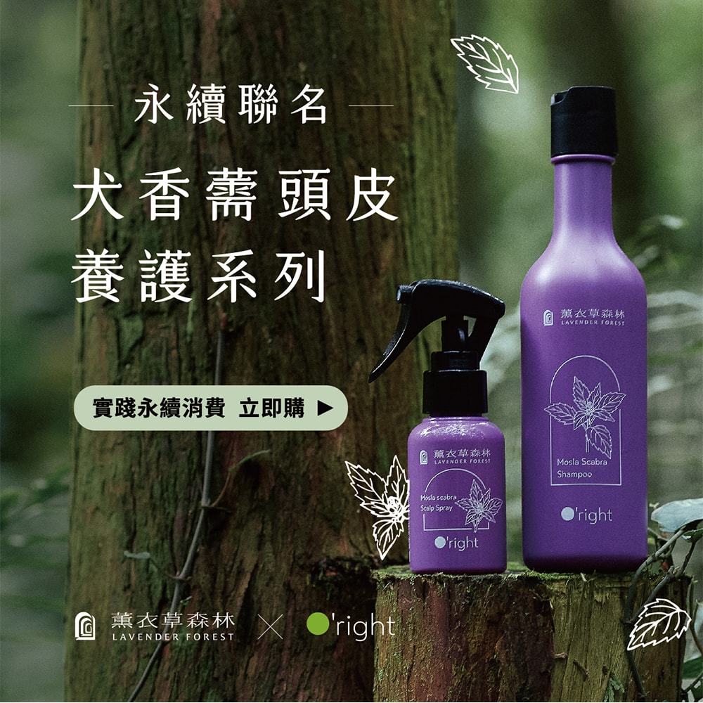 【薰衣草森林Select】犬香薷洗髮精250mL + 頭皮噴霧50mL | 頭皮護理 洗髮精 洗髮乳