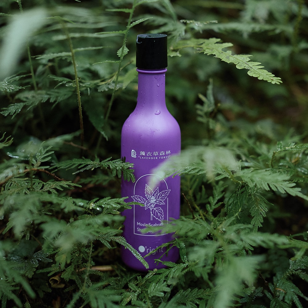 【薰衣草森林Select】犬香薷洗髮精250mL + 頭皮噴霧50mL | 頭皮護理 洗髮精 洗髮乳