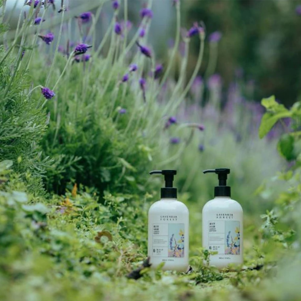 【薰衣草森林Select】薰衣草洗髮露 350ml | 洗髮精 洗髮露 香氛洗髮 天然植萃 Shampoo