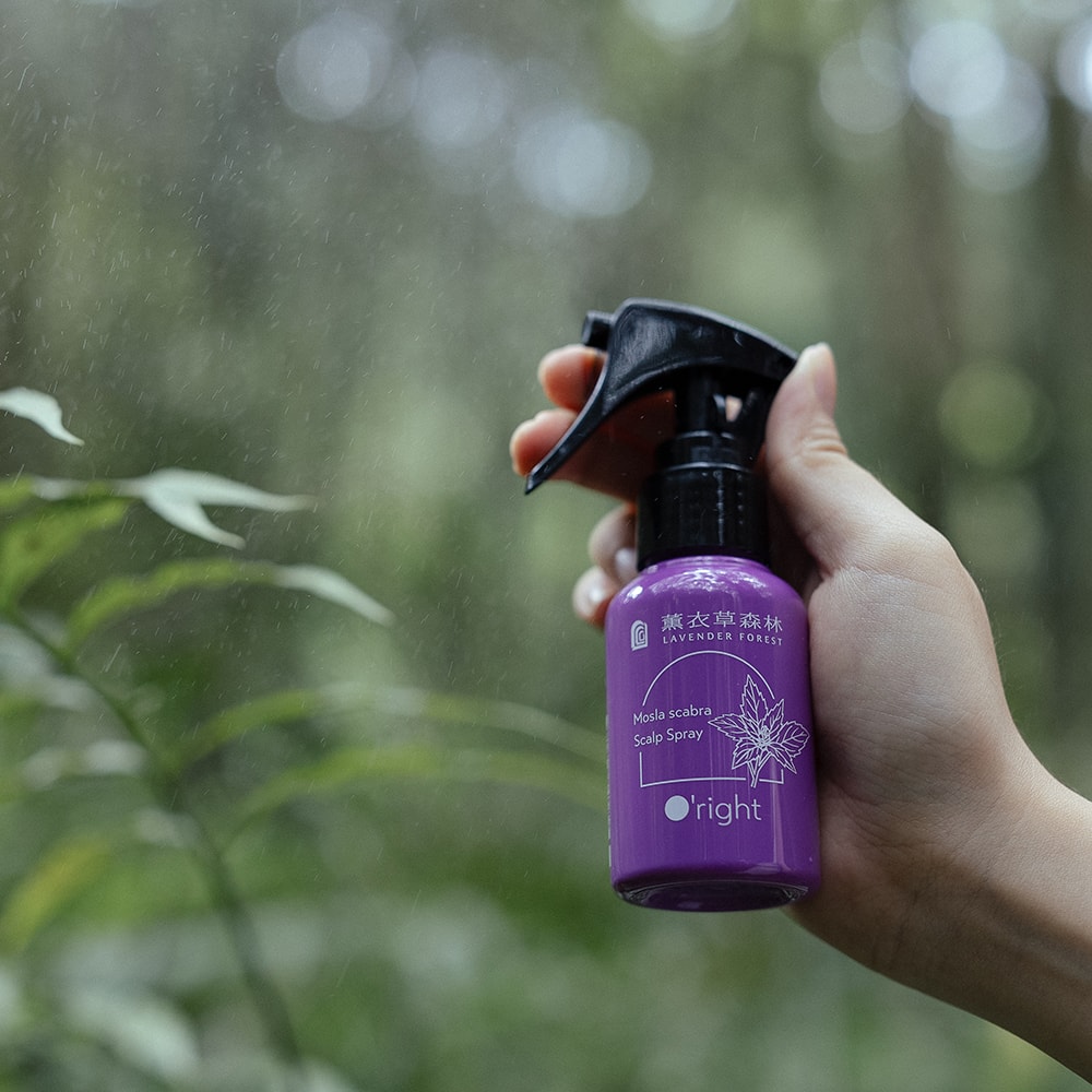 【薰衣草森林Select】犬香薷洗髮精250mL + 頭皮噴霧50mL | 頭皮護理 洗髮精 洗髮乳