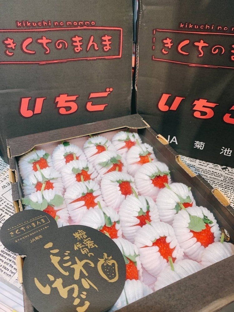 【帕查嬤嬤】✨✨草莓中的夢幻逸品✨✨  🇯🇵頂級黑盒熊本菊池糖蜜草莓🍓｜日本草莓禮盒