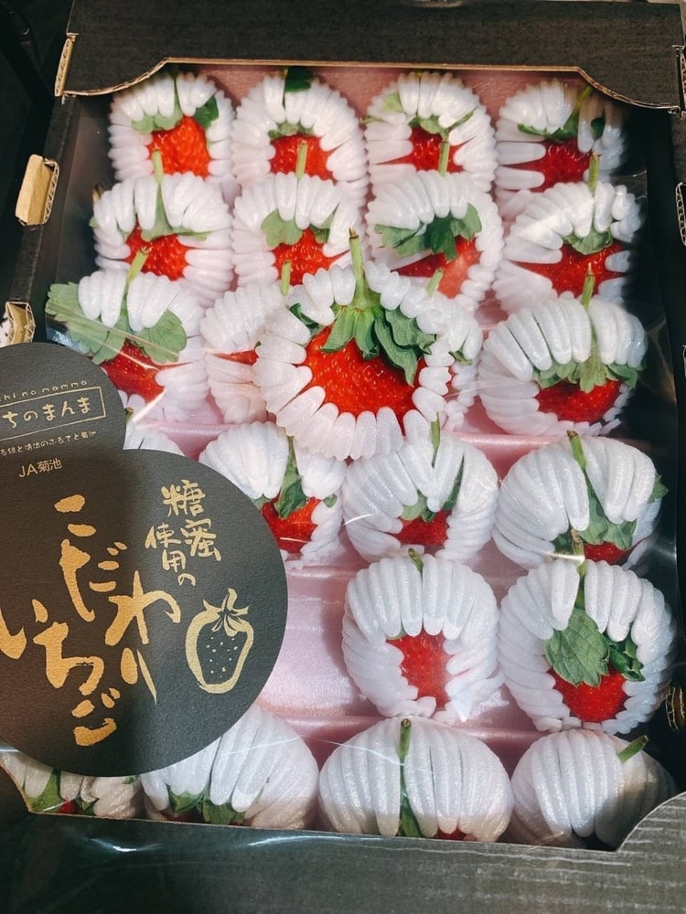 【帕查嬤嬤】✨✨草莓中的夢幻逸品✨✨  🇯🇵頂級黑盒熊本菊池糖蜜草莓🍓｜日本草莓禮盒
