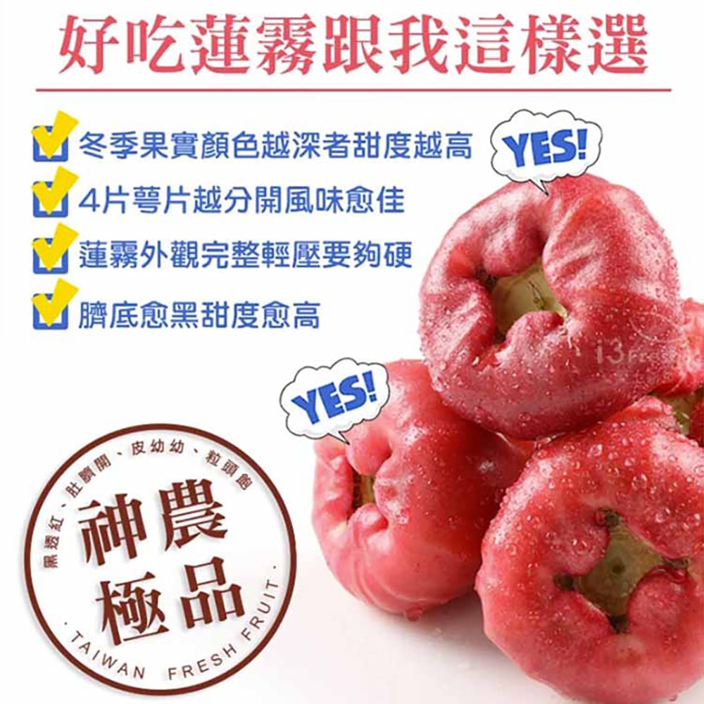 【愛上新鮮】老饕級-神農黑珍珠蓮霧2箱(2.4kg/箱;約22~25顆裝) 預購 冷藏配送