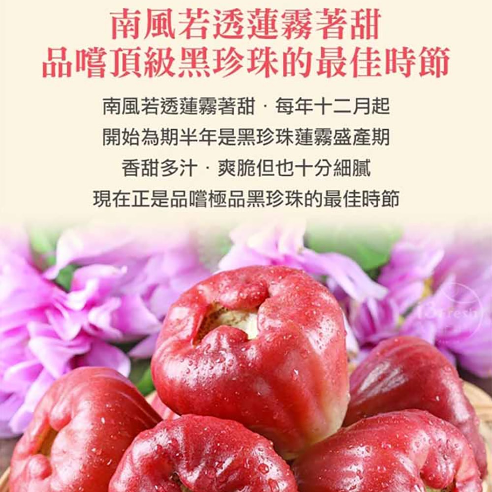 【愛上新鮮】老饕級-神農黑珍珠蓮霧2箱(2.4kg/箱;約22~25顆裝) 預購 冷藏配送