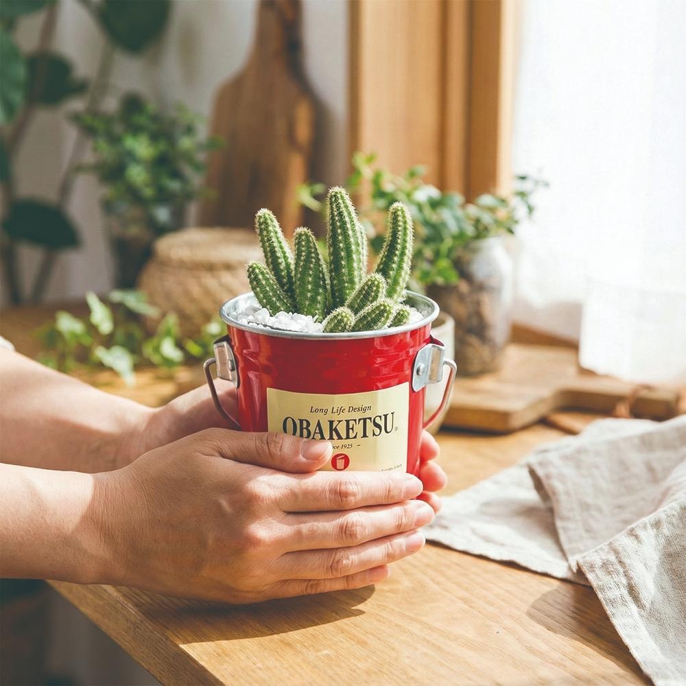 【日本 OBAKETSU】手工製多功能迷你桶 0.35L 花盆 園藝 收納桶