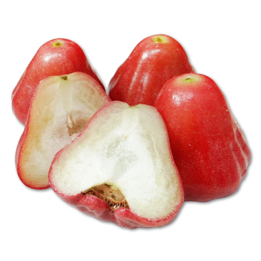 【家購網嚴選】屏東林邊黑珍珠蓮霧-中果 3斤禮盒X2盒(約21-24顆/盒)