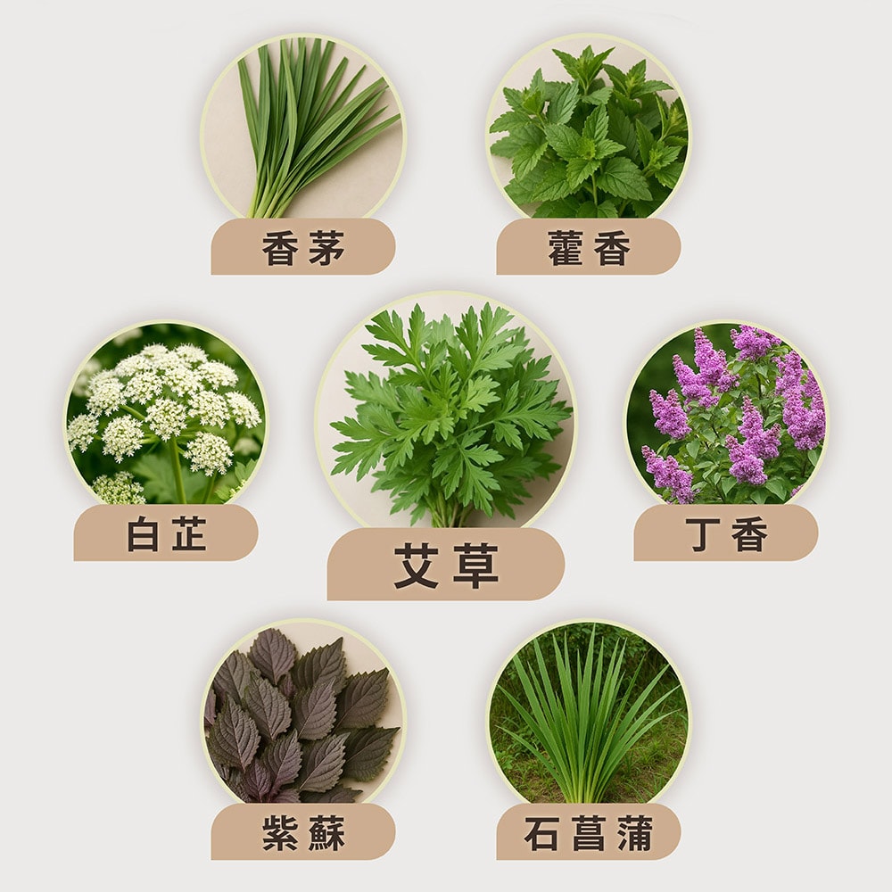 【好漢草 Hero Herb】艾草淨身平安包-媽祖(單包7入)盒裝