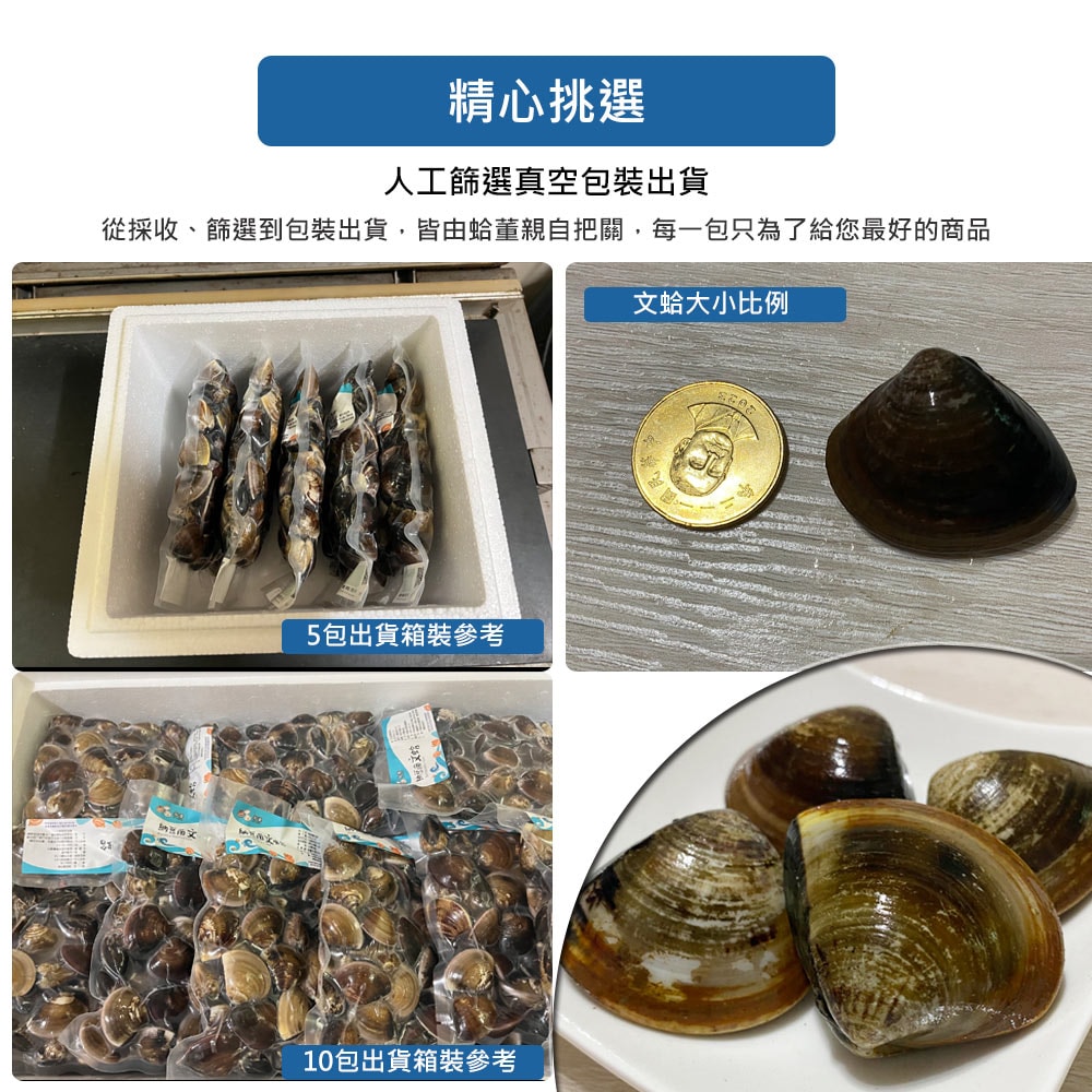 【蛤董養殖】預購 納豆菌友善養殖新鮮文蛤x5包(600g/包_產地直送_冷藏宅配)下訂後9個工作天內出貨