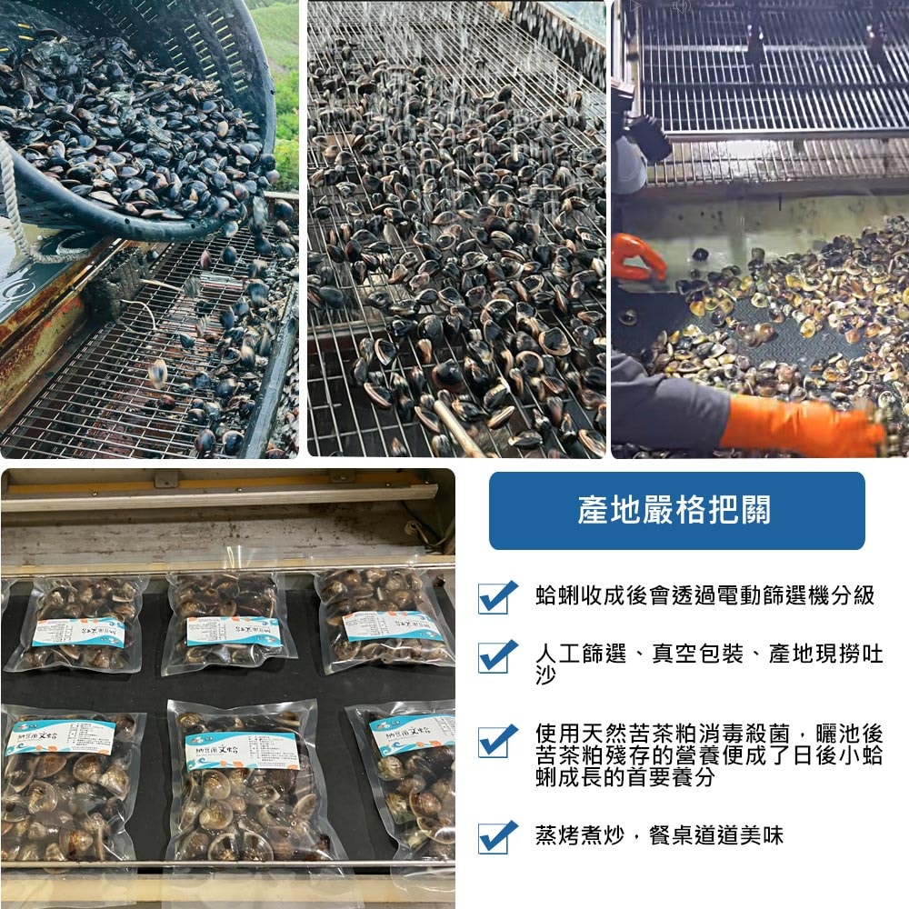 【蛤董養殖】預購 納豆菌友善養殖新鮮文蛤x5包(600g/包_產地直送_冷藏宅配)下訂後9個工作天內出貨