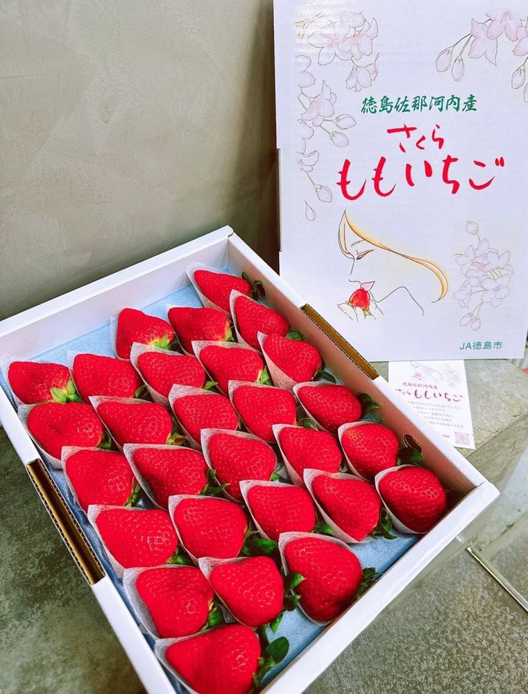 【帕查嬤嬤】🇯🇵日本 德島 頂級《櫻花水蜜桃》ももいちご 草莓🍑🍓｜日本草莓禮盒