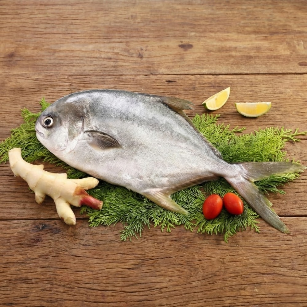 【澎湖區漁會】嚴選黃金鯧 400g/尾 (4尾組)|海鮮界的金條|肉嫩刺少|乾煎首選