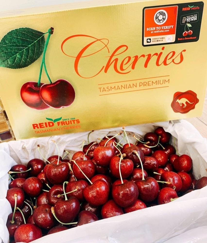 【帕查嬤嬤】🦘全球最強櫻桃✨ 澳洲 空運 REID金袋鼠 頂級塔斯馬尼亞 櫻桃 2公斤 原裝盒🍒｜澳洲櫻桃禮盒