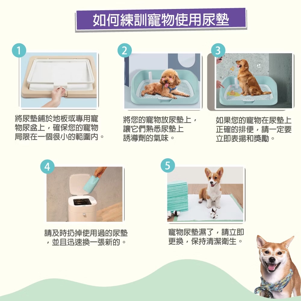 【枸杞家園】超厚款寵物尿布墊 L尺寸4包+IRIS寵物尿盆M號1個 五層超強吸水 寵物尿墊 防抓平面式廁所盆