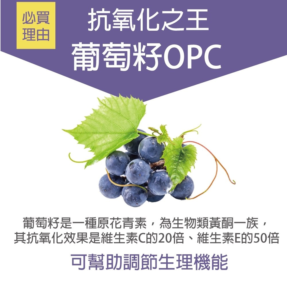 【枸杞家園】ALL-IN-1枸杞原汁波森莓鐵飲30mlx10包x2盒 送頂級葡萄籽精華膠囊60粒/瓶(女性好氣色營養補充)