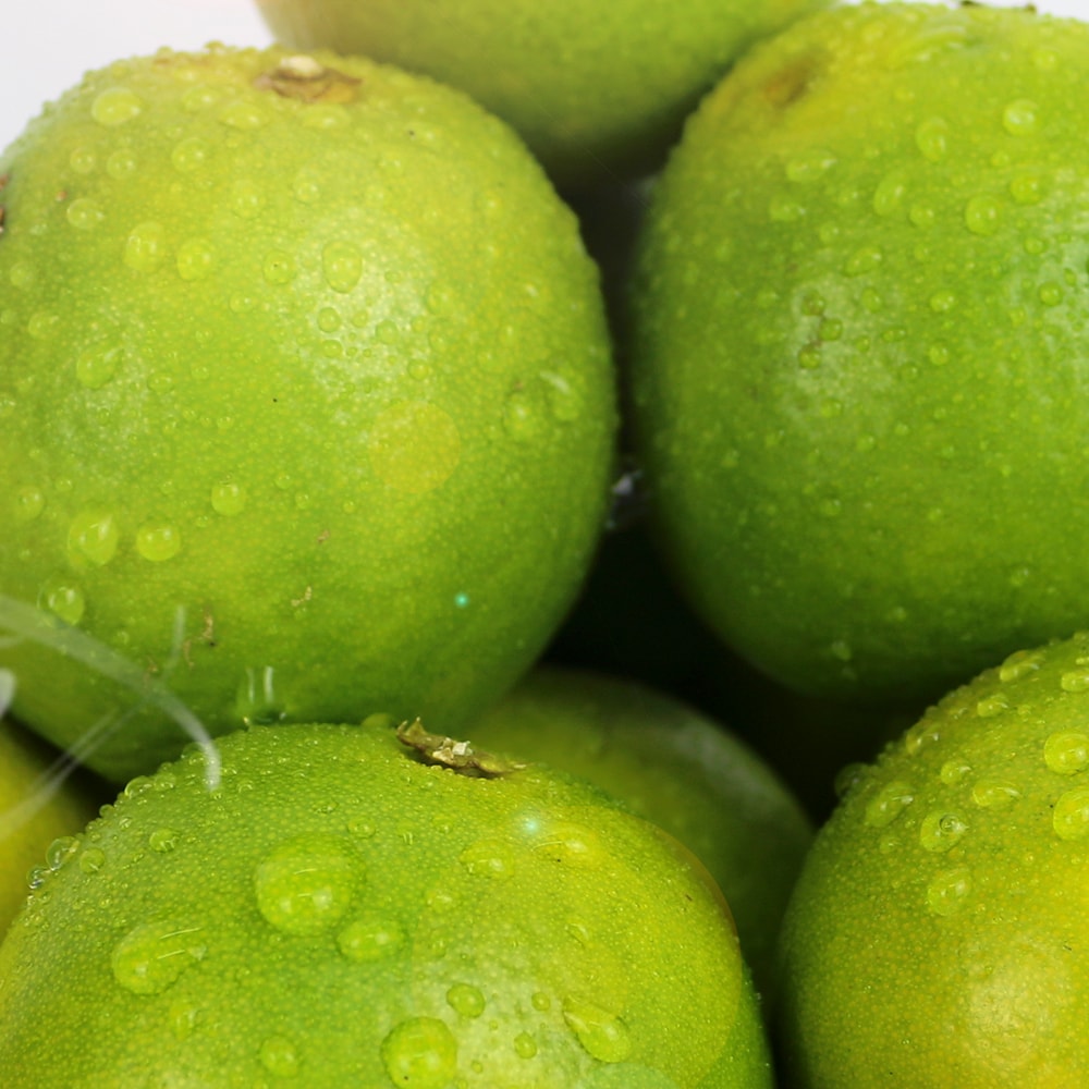 【果之家】古坑老欉鮮採爆汁雞蛋柳丁10台斤(約60-100顆)