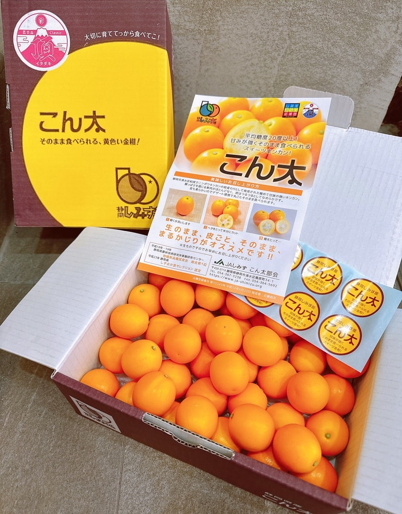 【帕查嬤嬤】🇯🇵日本 靜岡 高甜度 溫室金柑🍊｜日本金柑禮盒