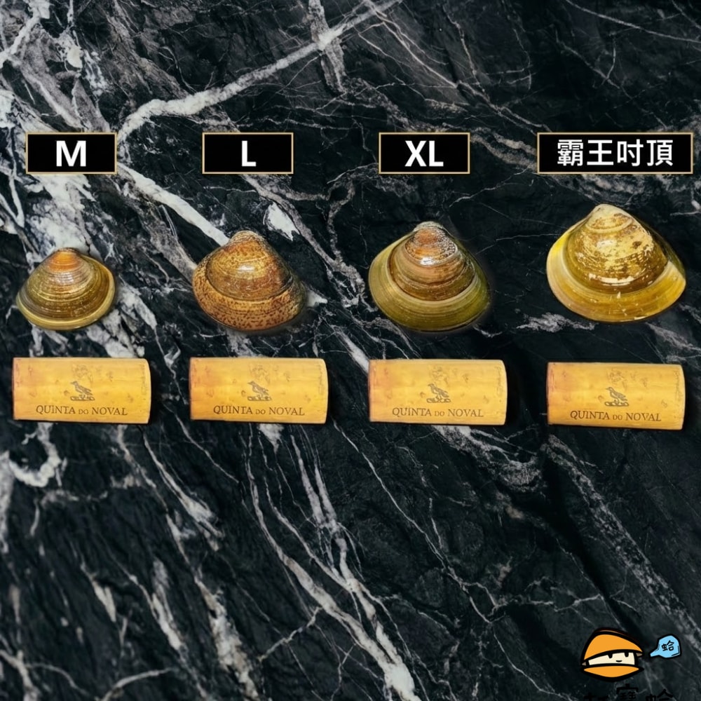 【打寶蛤】霸王級微笑文蛤 4包組 (400g/包)｜免吐沙、活氧真空、冬季限定特大顆