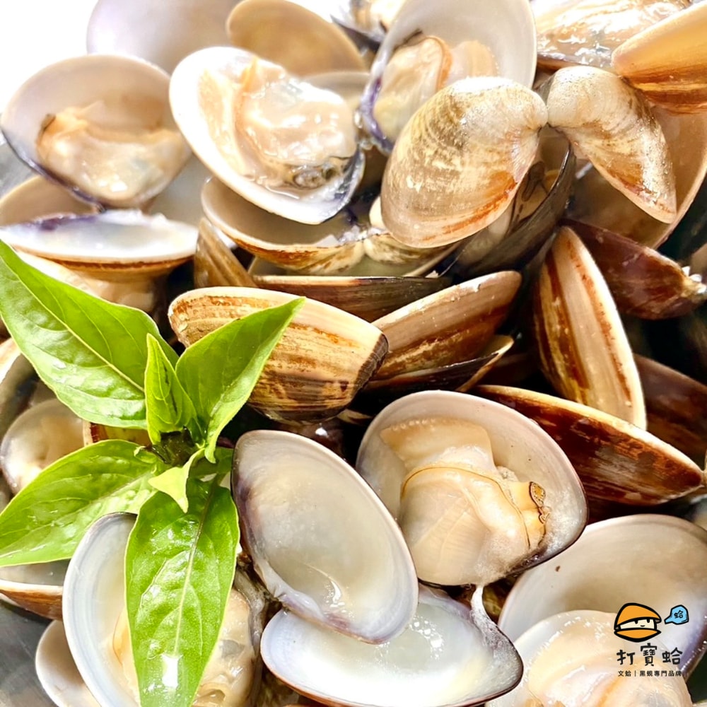 【打寶蛤】巨無霸文蛤超值 (400g/包)10包囤貨組｜免運費、生鮮活氧吐沙、專業產地直送
