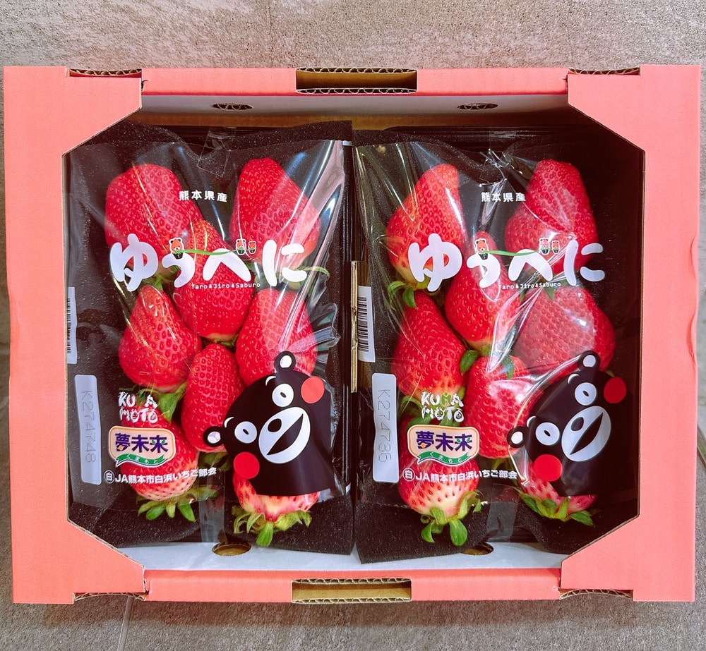 【帕查嬤嬤】🇯🇵日本 熊本 夢未來 熊紅草莓|日本草莓禮盒
