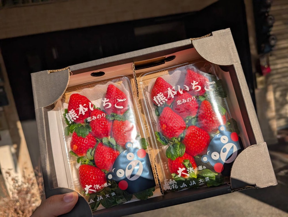 【家‧GAIA精品水果】日本熊本草莓/盒(2盤入)x1盒