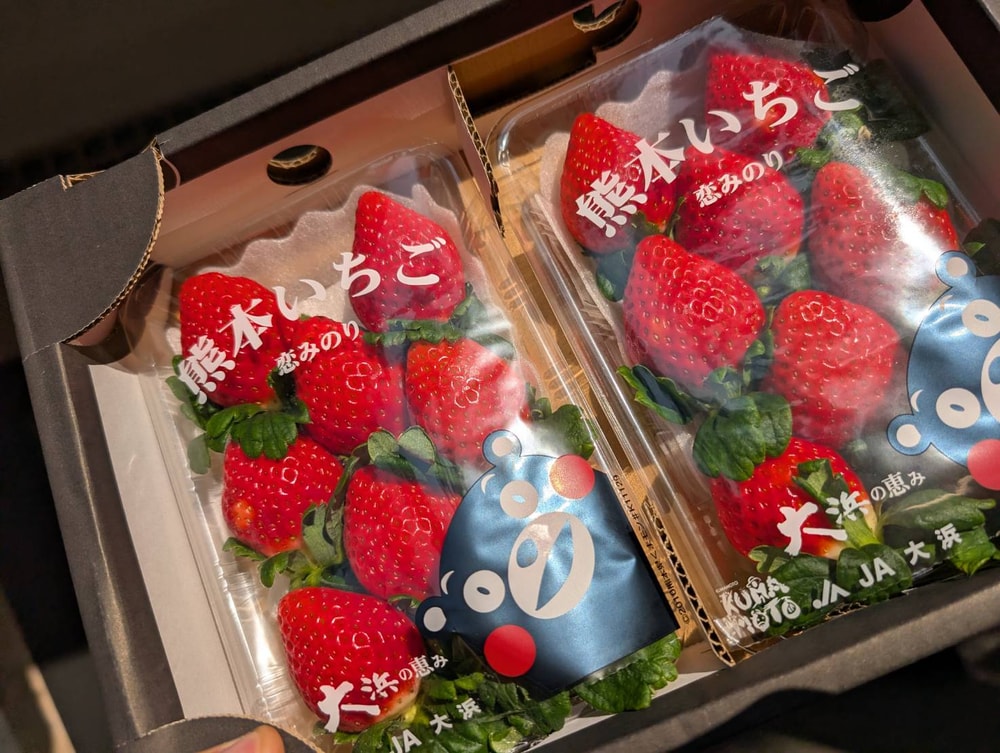 【家‧GAIA精品水果】日本熊本草莓/盒(2盤入)x1盒