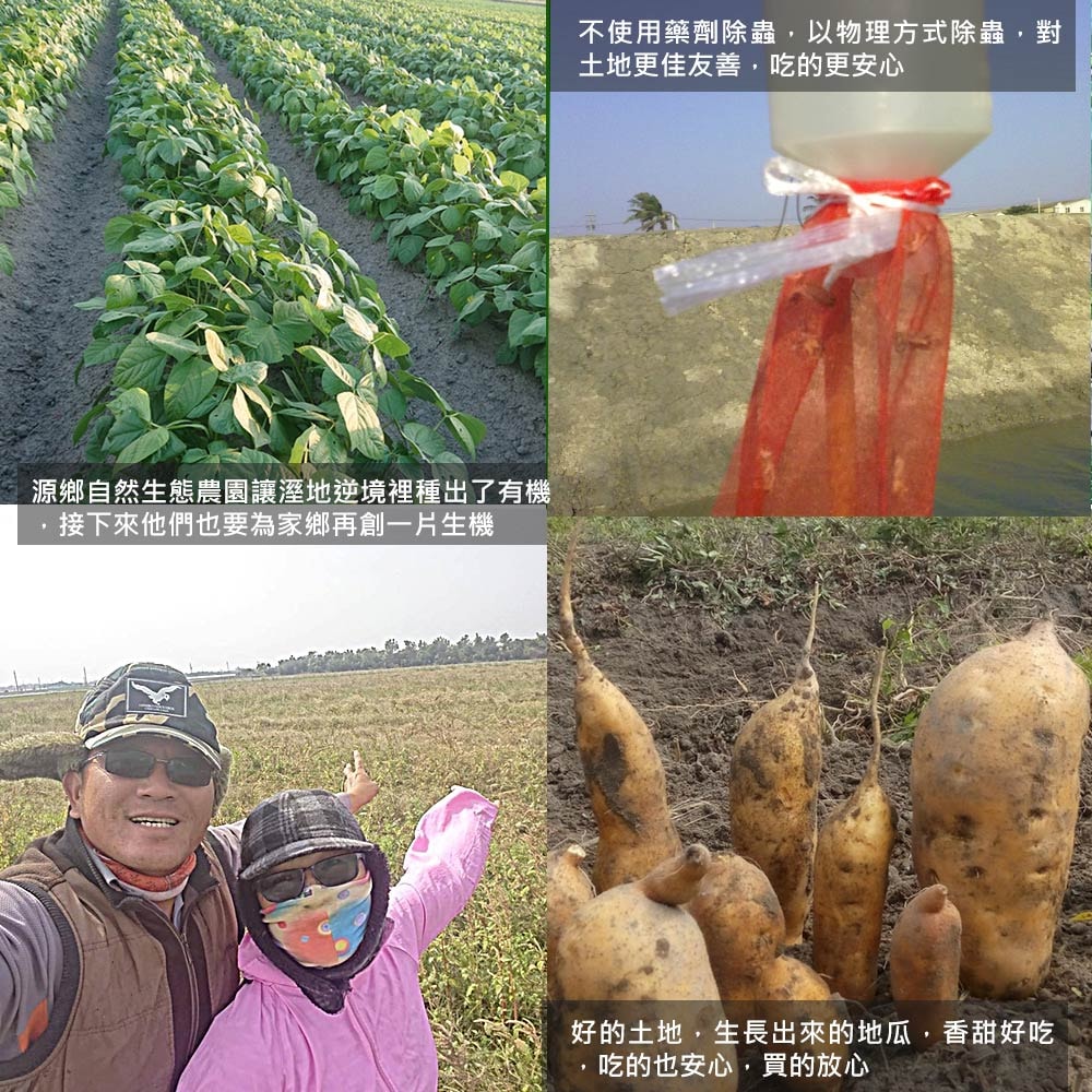 【源鄉自然生態農園】(預購)農民直配有機地瓜(生)-台農57號(7台斤/箱)(下單後7個工作天出貨)