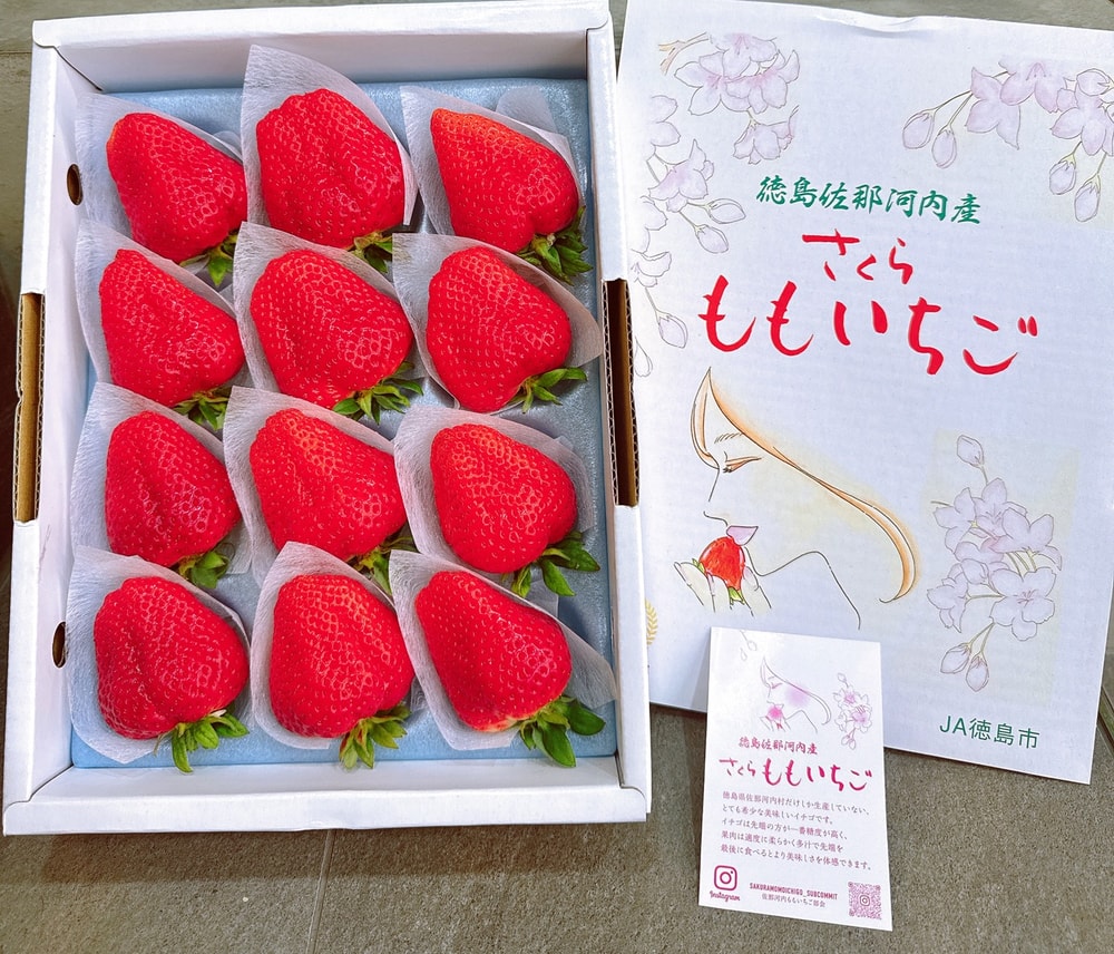 【帕查嬤嬤】🇯🇵日本 德島 頂級《櫻花水蜜桃》ももいちご 草莓🍑🍓｜日本草莓禮盒