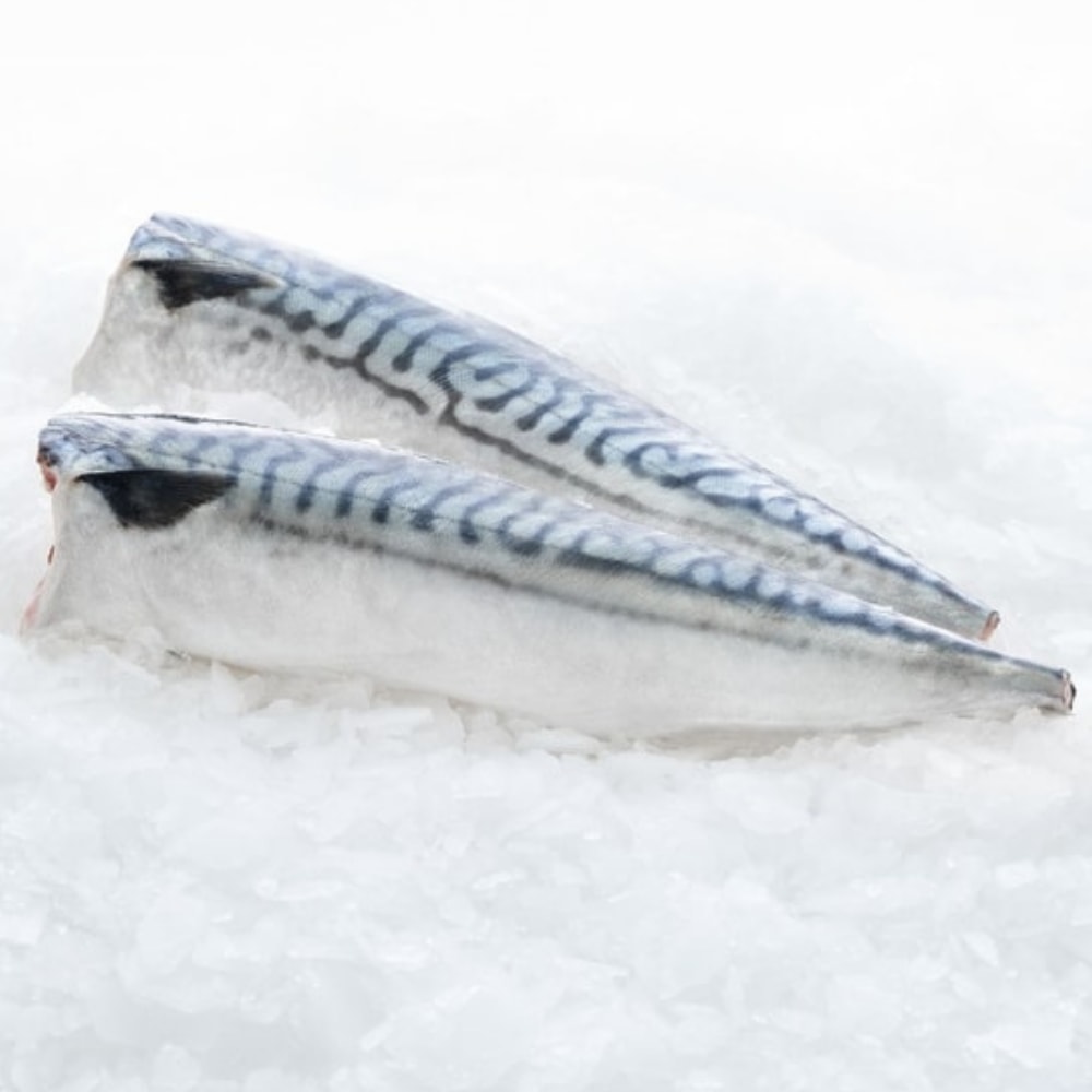 【Subzero 28】真空挪威鯖魚片150g*10片(淨重不含紙板)
