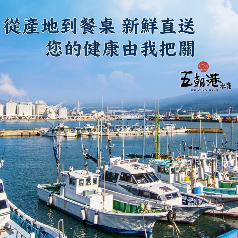 【五朝港水產】極鮮特優野生肉魚  家庭享福超值組 共2包（800g±10%/包/4隻） 已三去