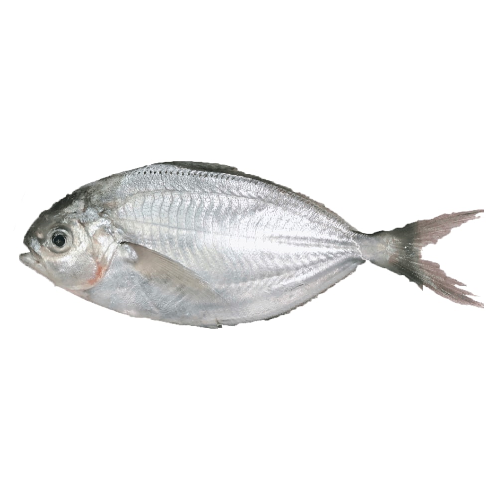 【五朝港水產】極鮮特優野生肉魚  家庭享福超值組 共2包（800g±10%/包/4隻） 已三去