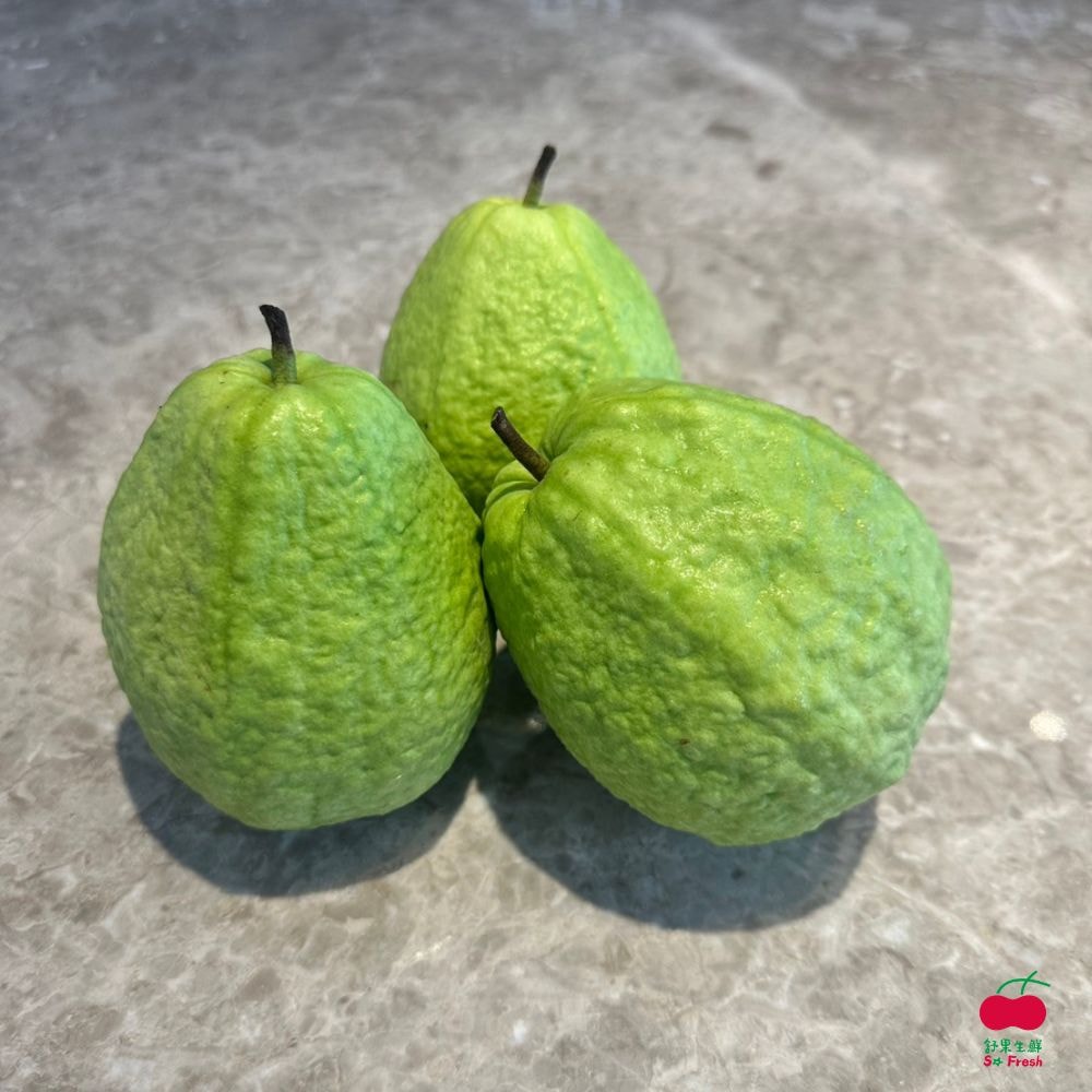 【舒果】台灣珍珠芭樂 (約7-9顆/3kg±10%/箱)