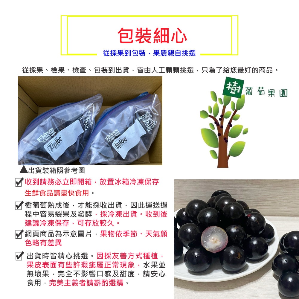 【優質嚴選】【樹葡萄果園】冷凍鮮採樹葡萄6斤x1箱(3斤/包_小果_冷凍宅配_產地直送)，下訂後4個工作天內出貨