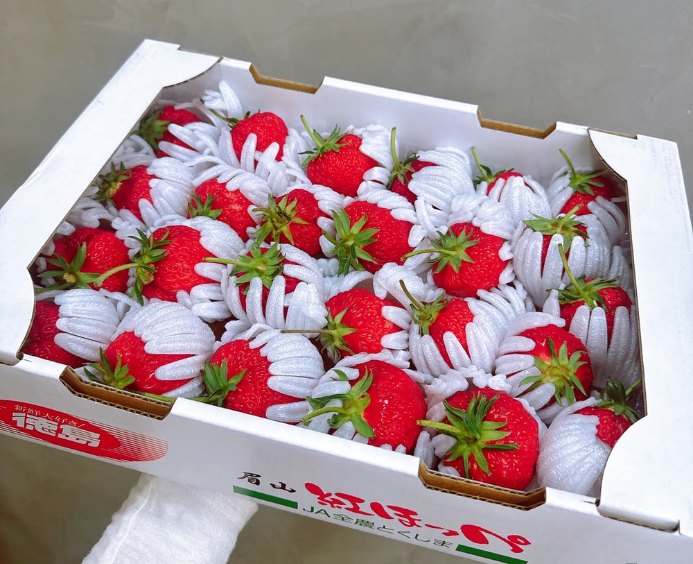 【帕查嬤嬤】🇯🇵日本 德島 眉山 紅顏草莓 1kg禮盒🍓|日本草莓禮盒