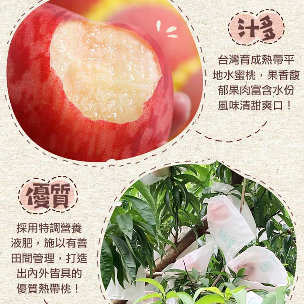 【愛上新鮮】台灣鮮採水蜜桃6入x2箱(1公斤±1.5%) 預購 低溫配送