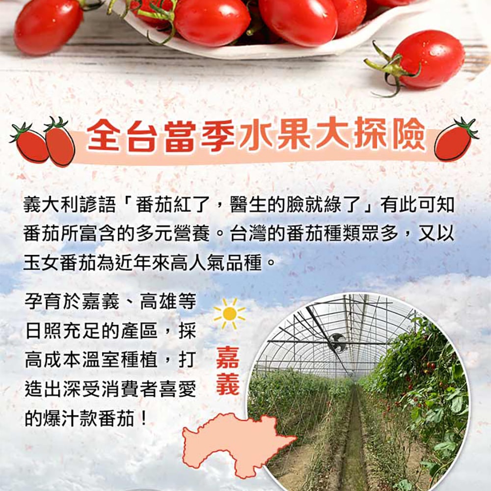 【愛上新鮮】鮮採薄皮玉女小番茄x1箱(1800g(3台斤)/箱)預購 常溫配送