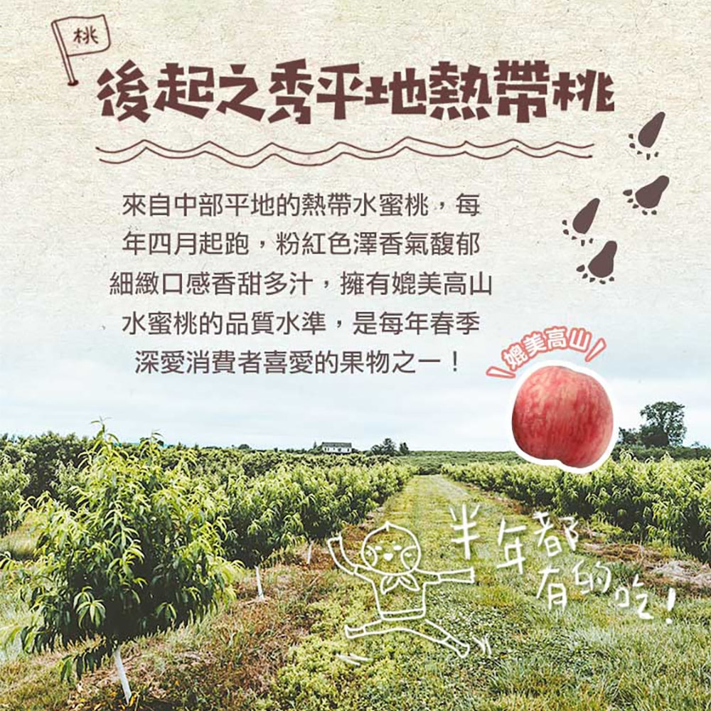 【愛上新鮮】台灣鮮採水蜜桃6入x2箱(1公斤±1.5%) 預購 低溫配送