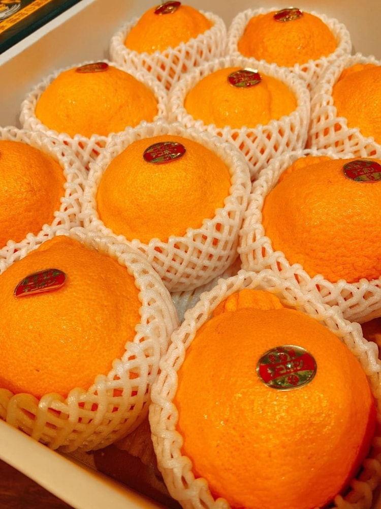 【帕查嬤嬤】🇯🇵日本 愛媛 柑橘皇后《不知火》凸頂柑 2顆透明盒裝🍊｜日本世界柑