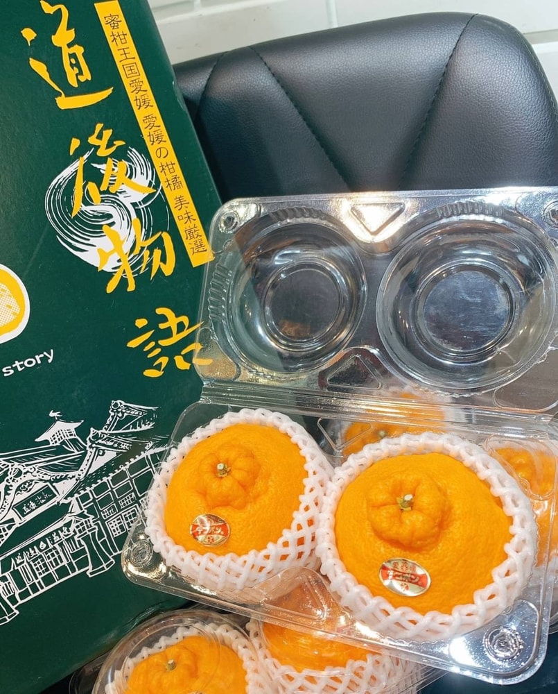 【帕查嬤嬤】🇯🇵日本 愛媛 柑橘皇后《不知火》凸頂柑 2顆透明盒裝🍊｜日本世界柑