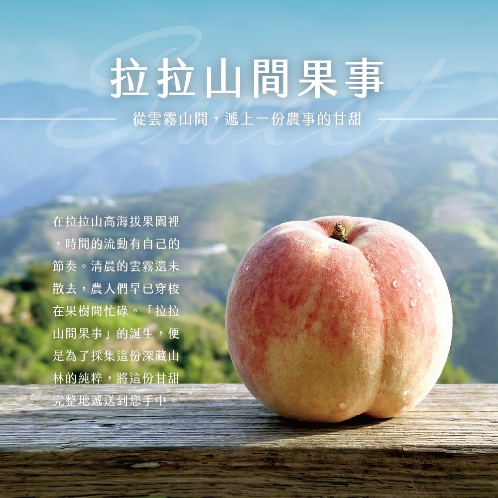 【禾鴻】【拉拉山間果事】拉拉山水蜜桃禮盒6顆裝x2盒(淨重1.35kg/盒_媽媽桃五月桃)