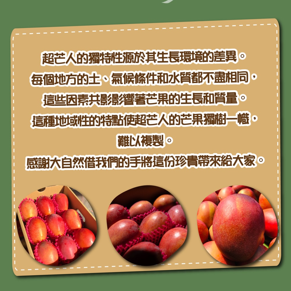 【禾鴻】【超芒人農場】屏東枋山頂級山坡愛文芒果禮盒6kgx1箱(18-20粒/箱_優選級中果)