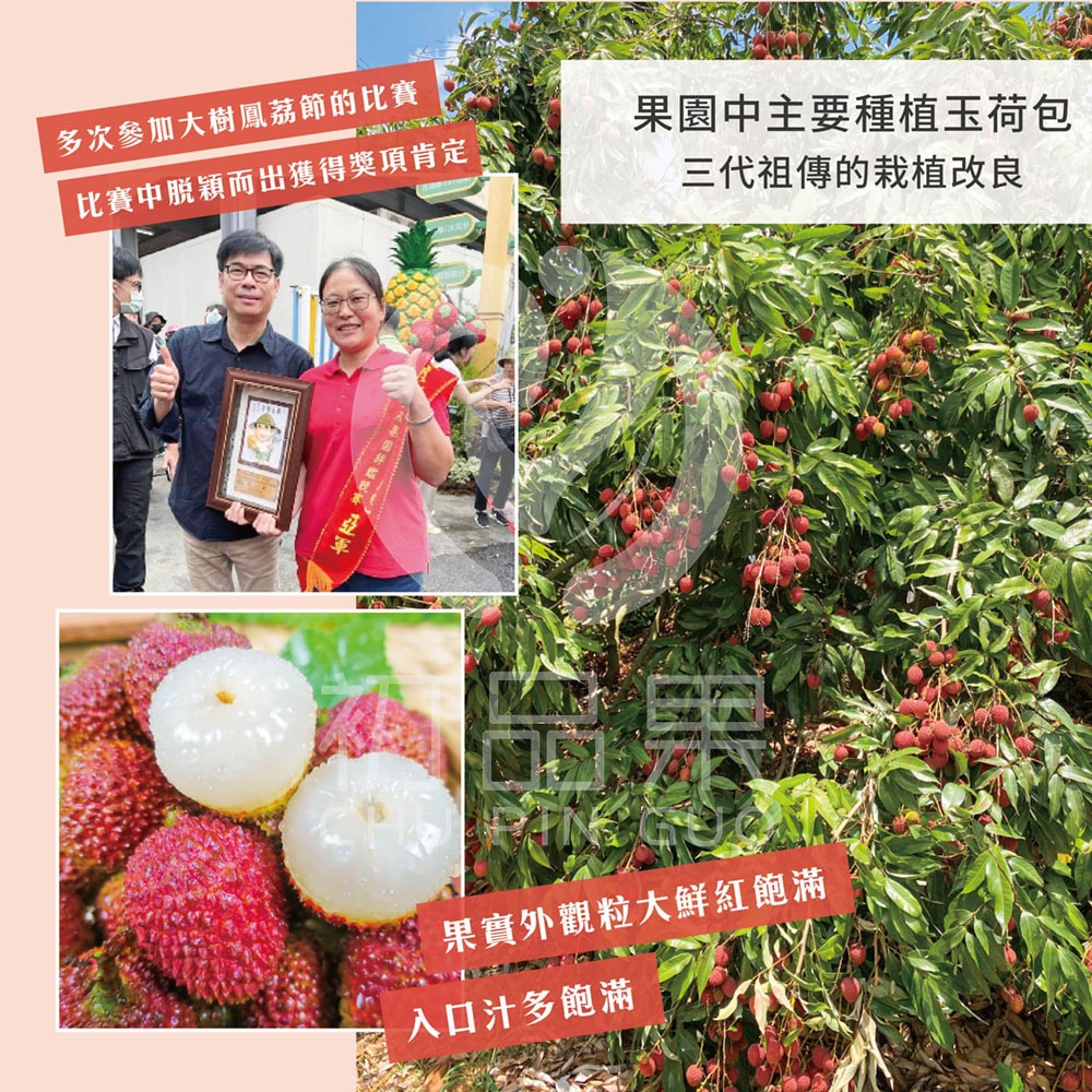 【初品果】銷日等級高雄大樹32mm-35mm玉荷包禮盒3斤x1盒_顆粒冷藏出貨_預購5/25-6/10開始陸續採收出貨