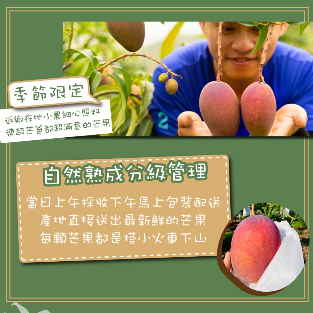 【禾鴻】【超芒人農場】屏東枋山頂級山坡愛文芒果禮盒6kgx1箱(18-20粒/箱_優選級中果)